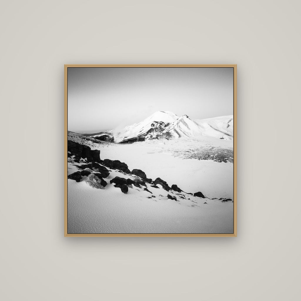 Ngauruhoe's Glow, Tongariro National Park, Basel Natural Oak, 80×80 cm. New Zealand fine art wall art by Stephen Milner.
