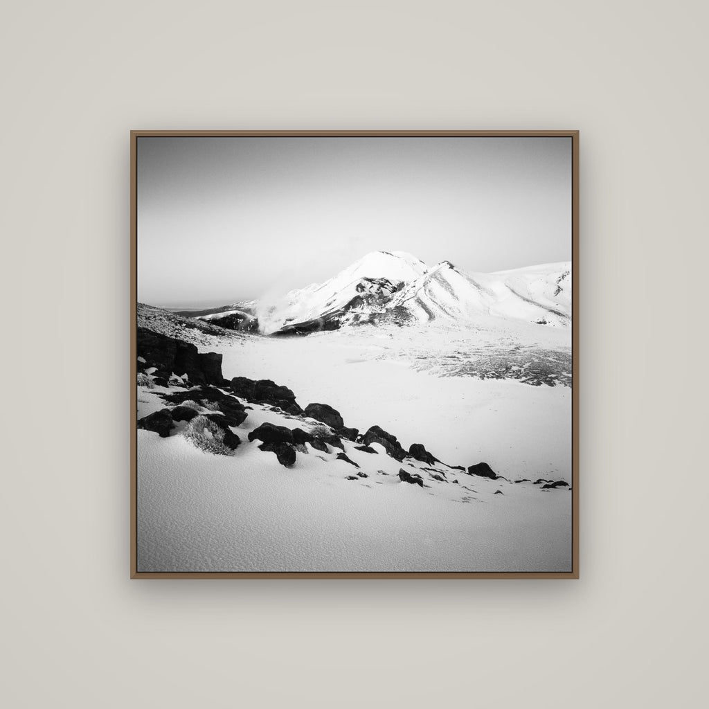 Ngauruhoe's Glow, Tongariro National Park, Basel Walnut, 100×100 cm. New Zealand fine art wall art by Stephen Milner.