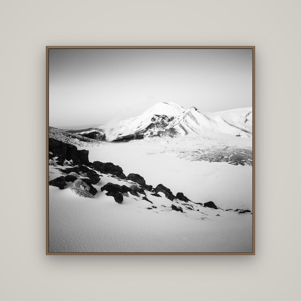 Ngauruhoe's Glow, Tongariro National Park, Basel Walnut, 120×120 cm. New Zealand fine art wall art by Stephen Milner.