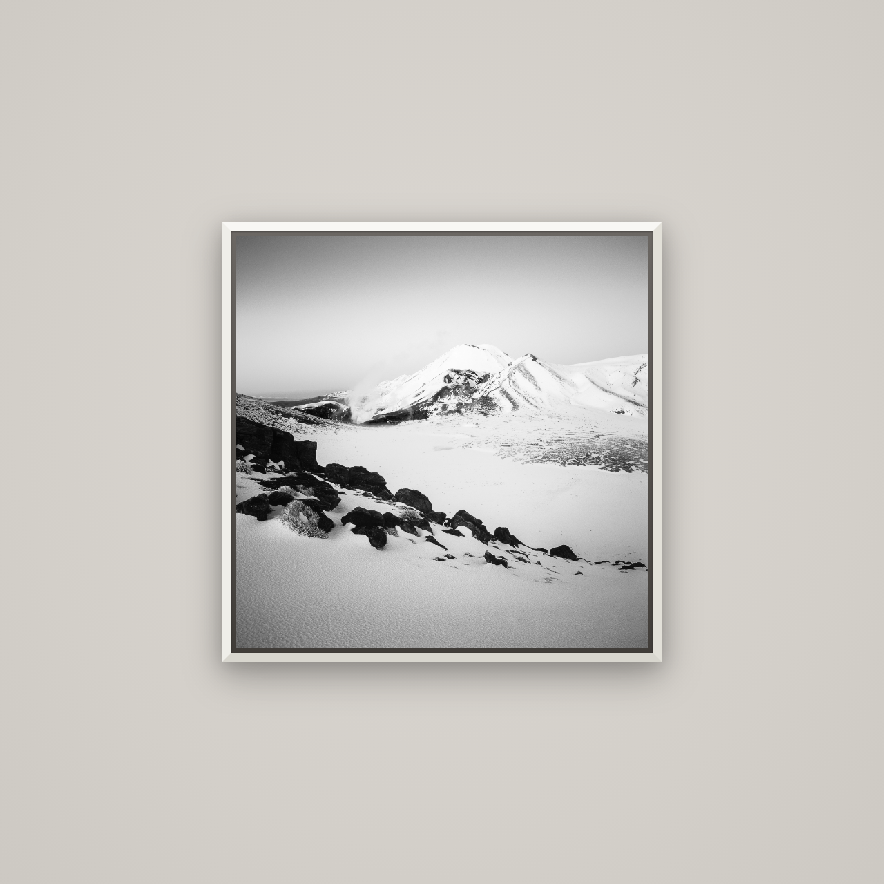 Ngauruhoe's Glow, Tongariro National Park — Basel White, 60×60 cm. New Zealand fine art wall art by Stephen Milner.