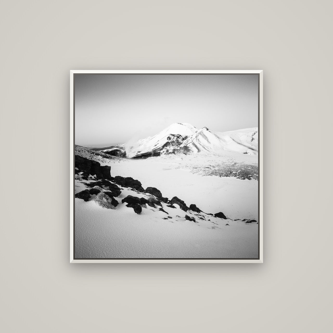 Ngauruhoe's Glow, Tongariro National Park — Basel White, 80×80 cm. New Zealand fine art wall art by Stephen Milner.