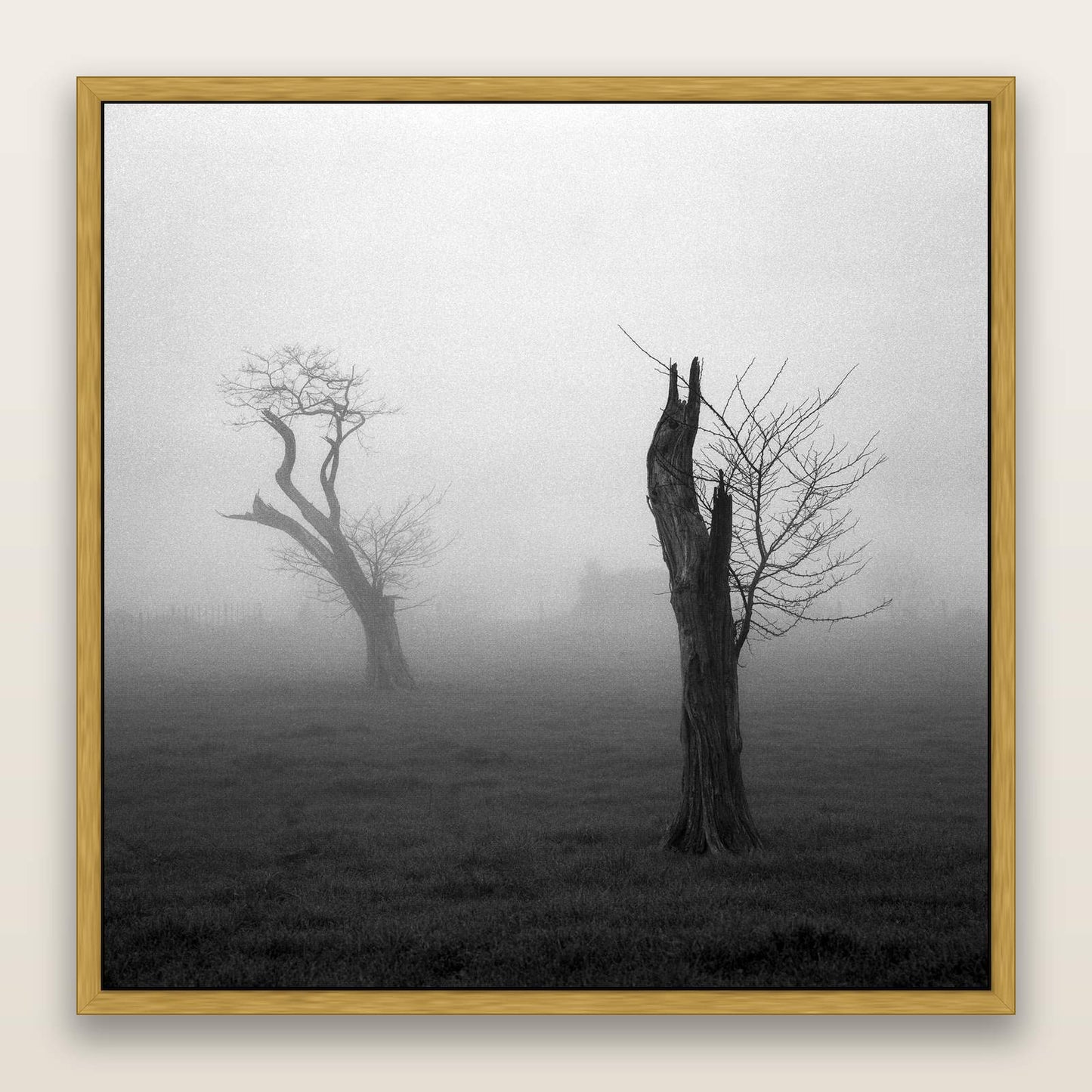 Opposites in the Mist, Waikato — framed metallic canvas print, Antique Gold frame. New Zealand fine art landscape wall art by Stephen Milner.