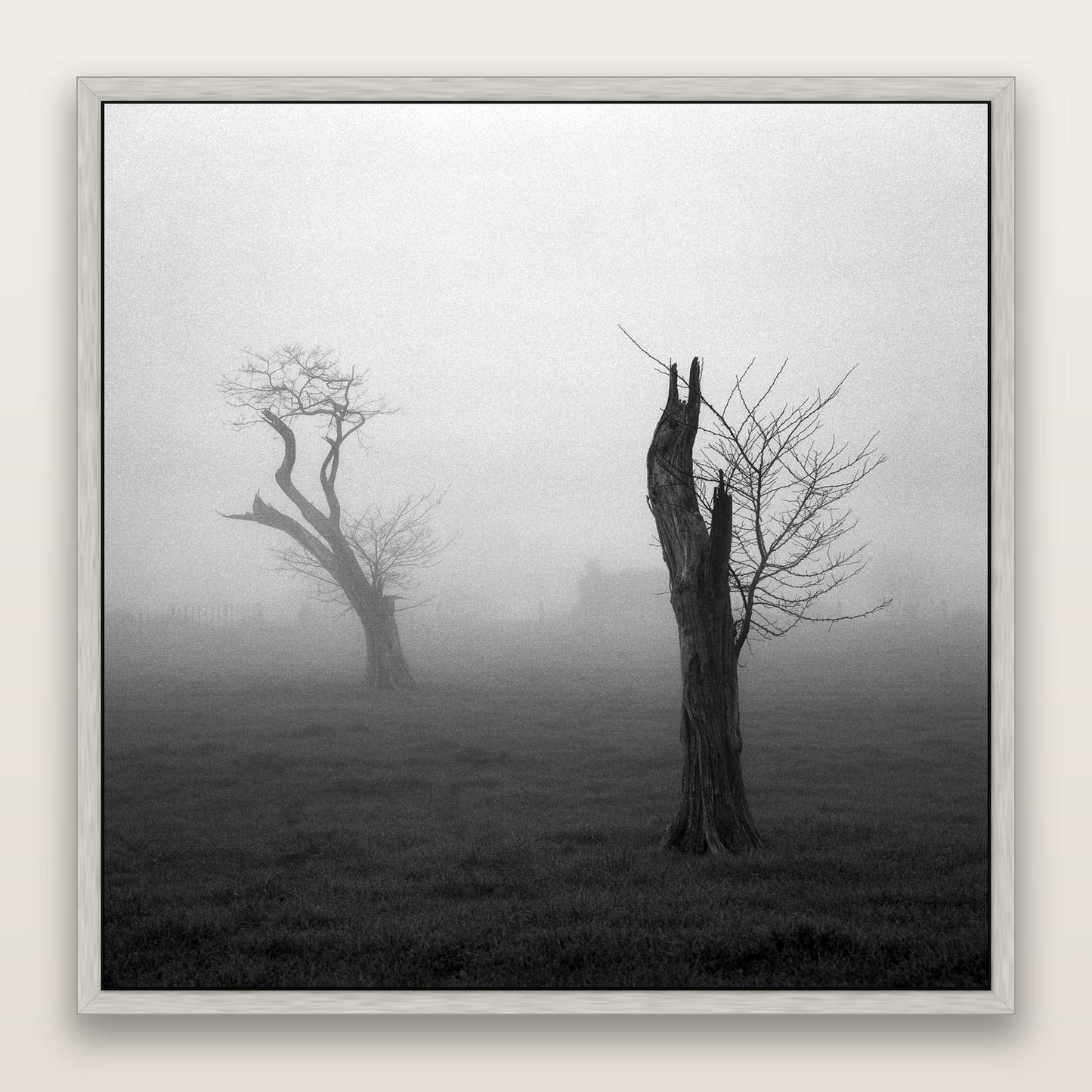 Opposites in the Mist, Waikato — framed metallic canvas print, Antique Silver frame. New Zealand fine art landscape wall art by Stephen Milner.