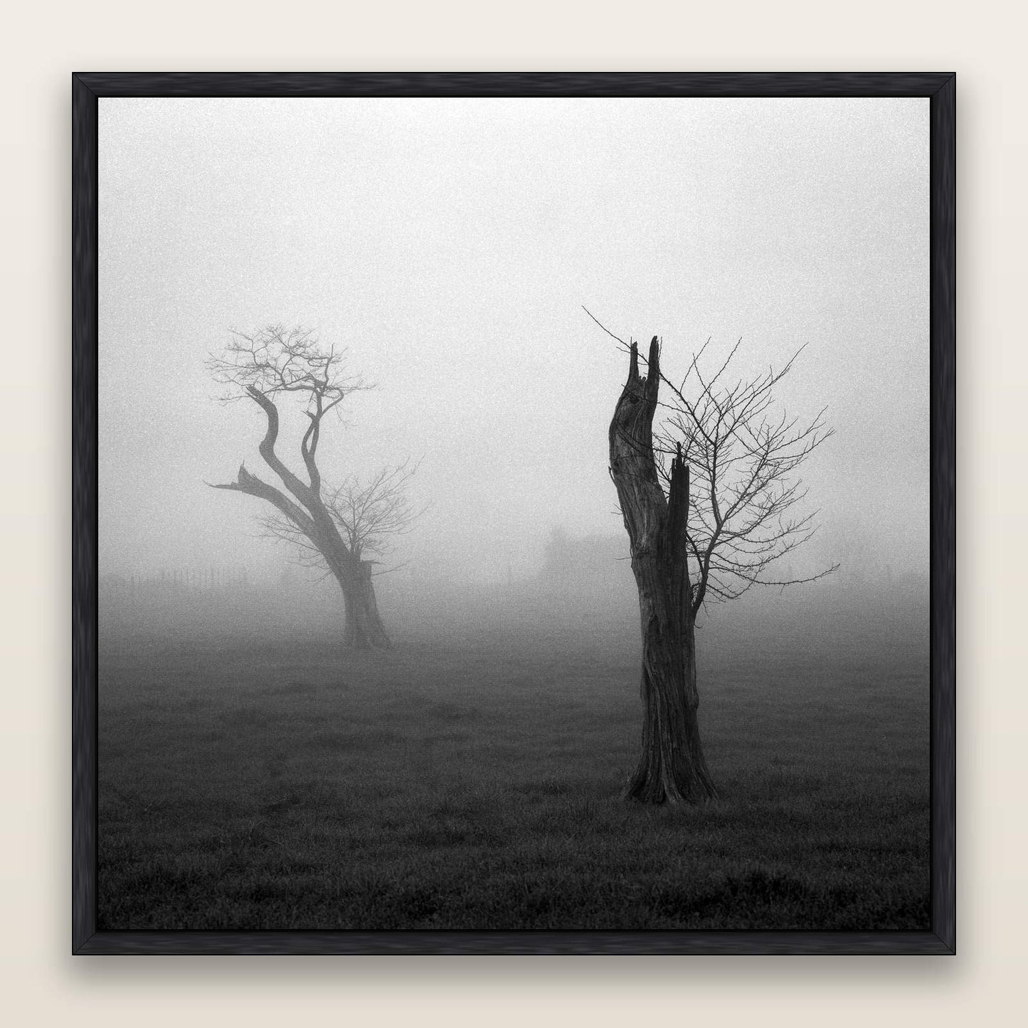 Opposites in the Mist, Waikato — framed metallic canvas print, Black frame. New Zealand fine art landscape wall art by Stephen Milner.
