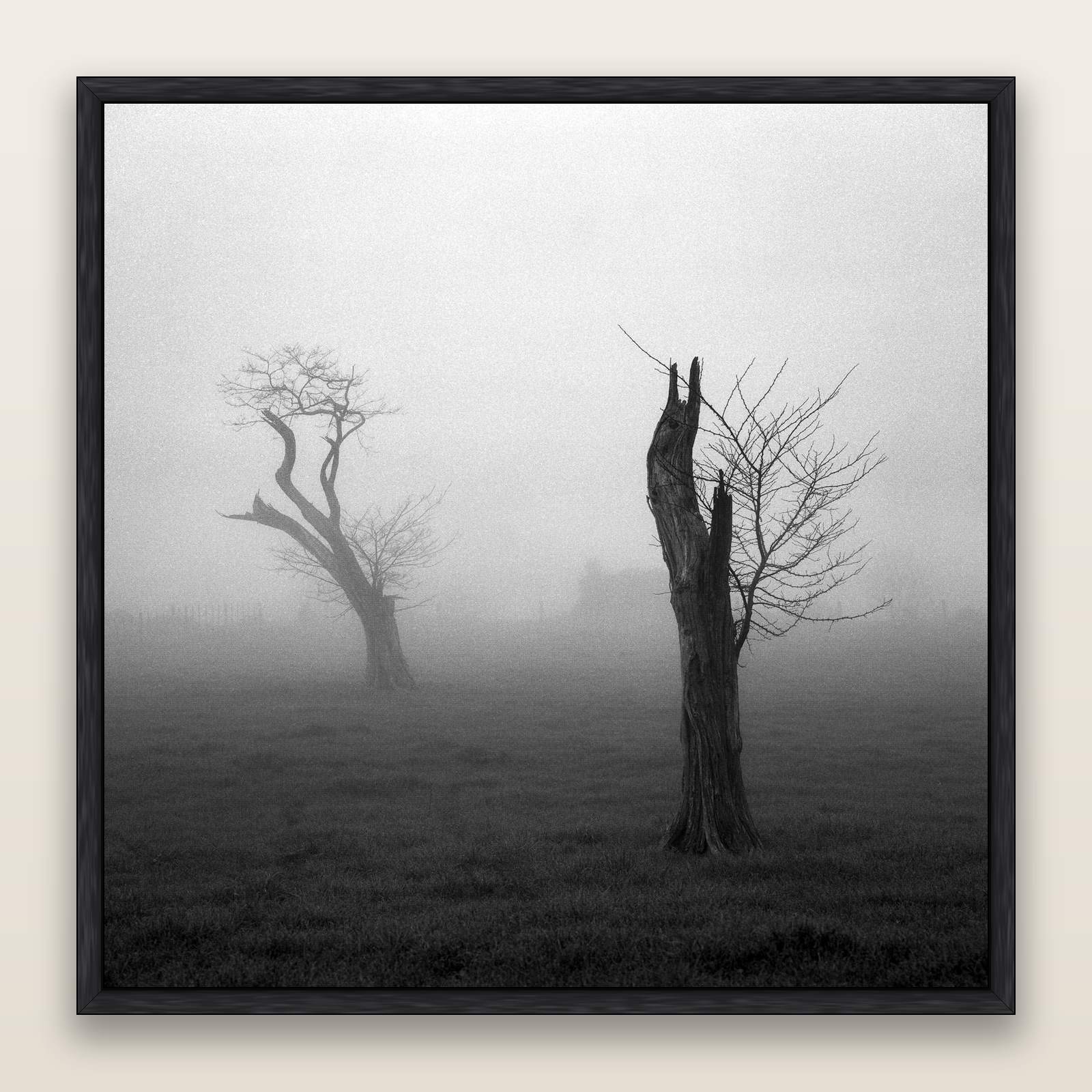 Opposites in the Mist, Waikato — framed metallic canvas print, Black frame. New Zealand fine art landscape wall art by Stephen Milner.
