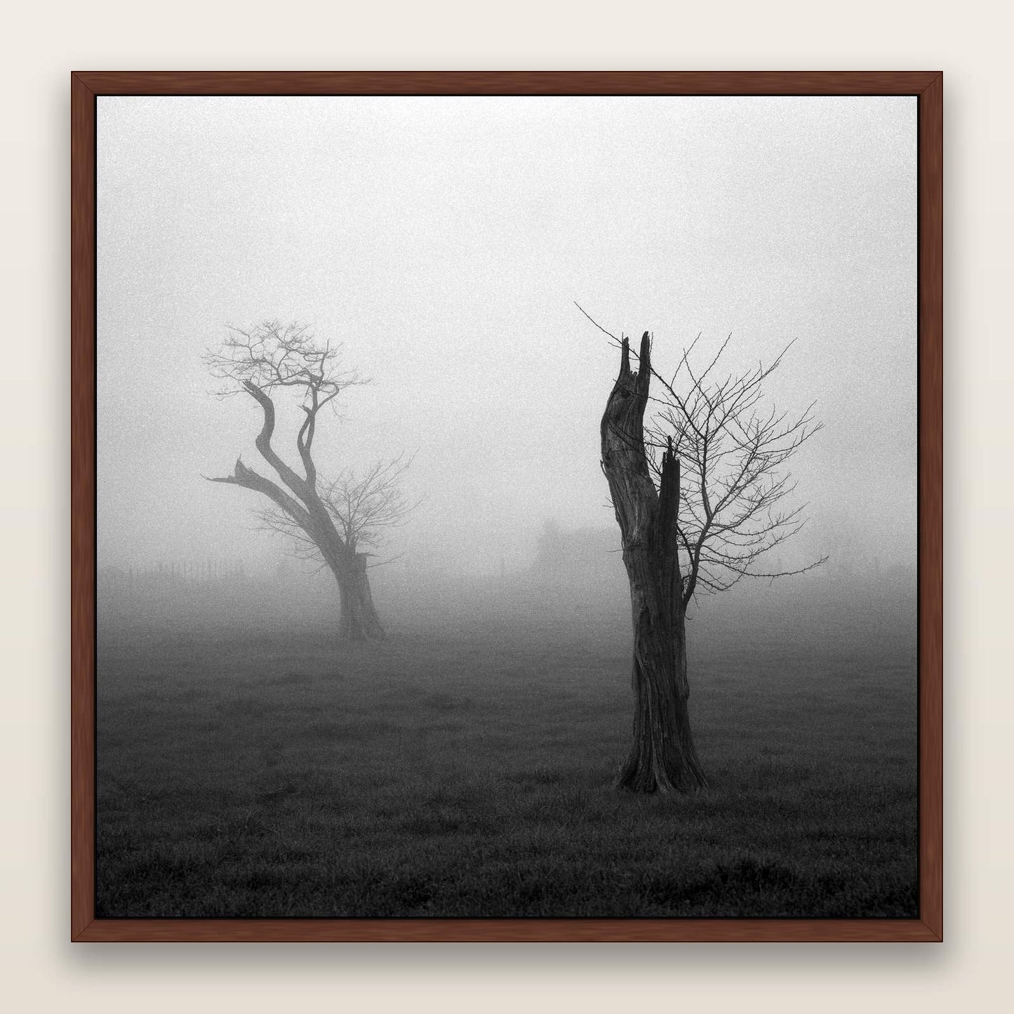 Opposites in the Mist, Waikato — framed metallic canvas print, Brown frame. New Zealand fine art landscape wall art by Stephen Milner.