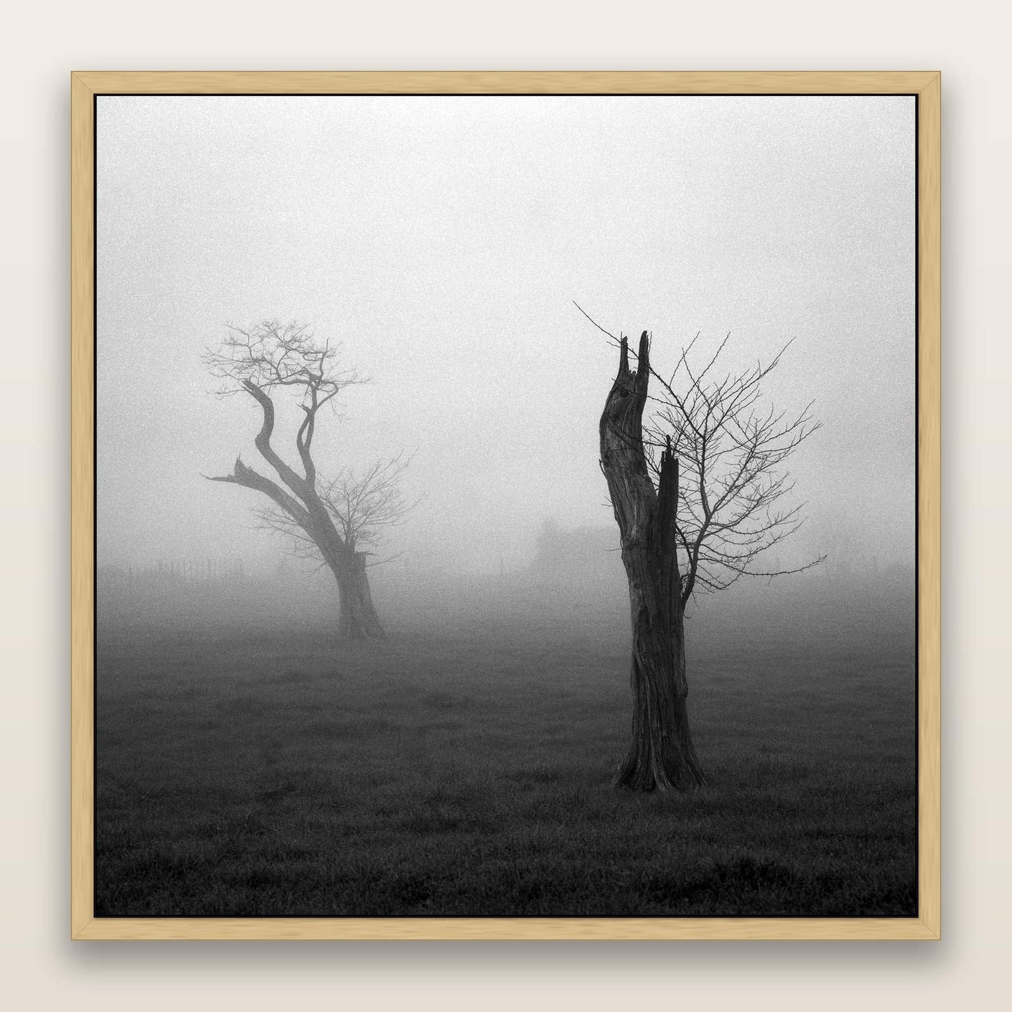 Opposites in the Mist, Waikato — framed metallic canvas print, Natural frame. New Zealand fine art landscape wall art by Stephen Milner.