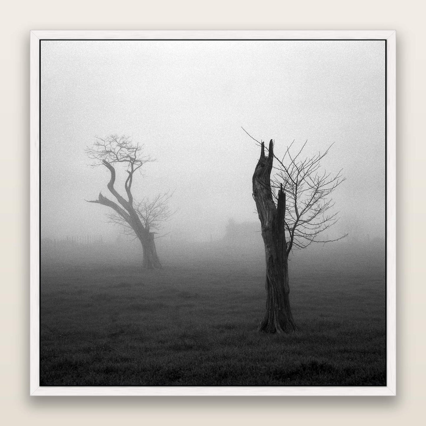 Opposites in the Mist, Waikato — framed metallic canvas print, White frame. New Zealand fine art landscape wall art by Stephen Milner.