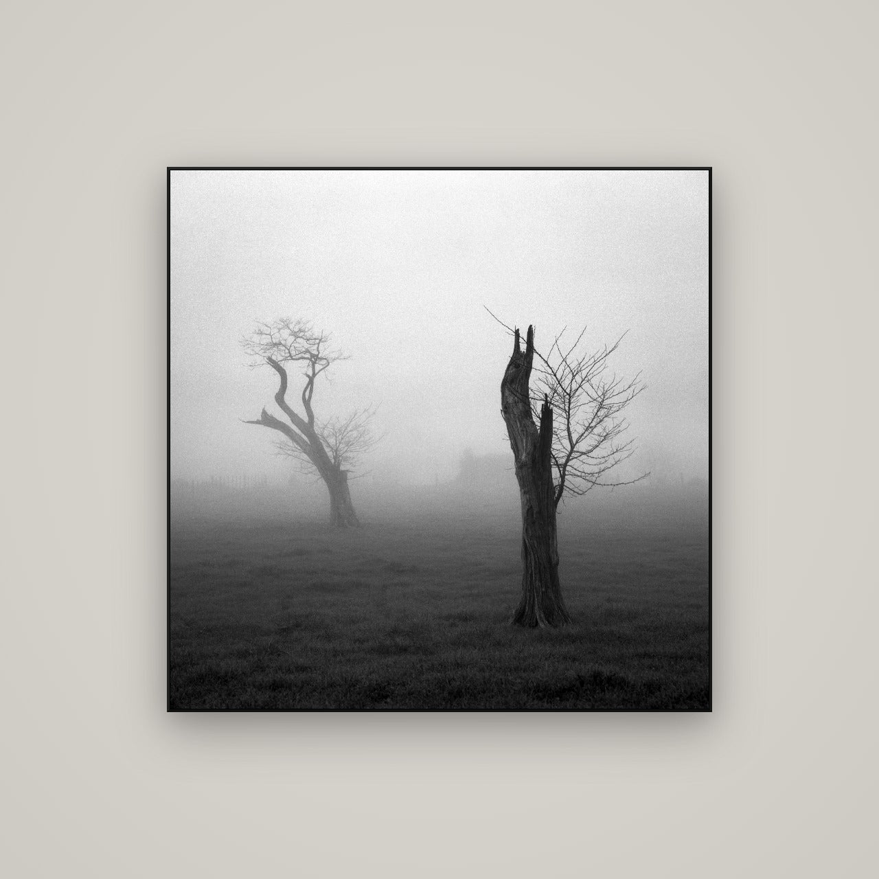 Opposites in the Mist, Waikato — ArtBox Black, 100×100 cm. New Zealand fine art wall art by Stephen Milner.