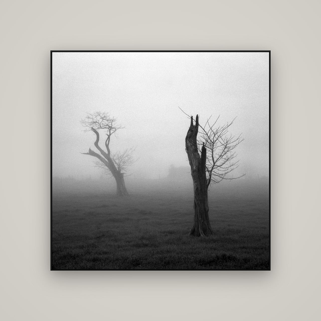 Opposites in the Mist, Waikato — ArtBox Black, 120×120 cm. New Zealand fine art wall art by Stephen Milner.