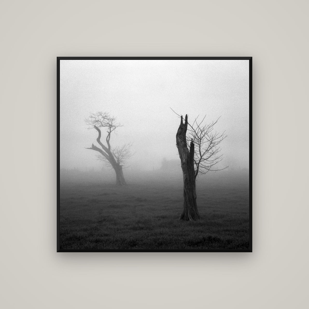 Opposites in the Mist, Waikato — Basel Black, 100×100 cm. New Zealand fine art wall art by Stephen Milner.