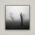 Opposites in the Mist, Waikato — Basel Black, 120×120 cm. New Zealand fine art wall art by Stephen Milner.