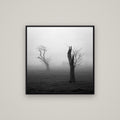 Opposites in the Mist, Waikato — Basel Black, 80×80 cm. New Zealand fine art wall art by Stephen Milner.