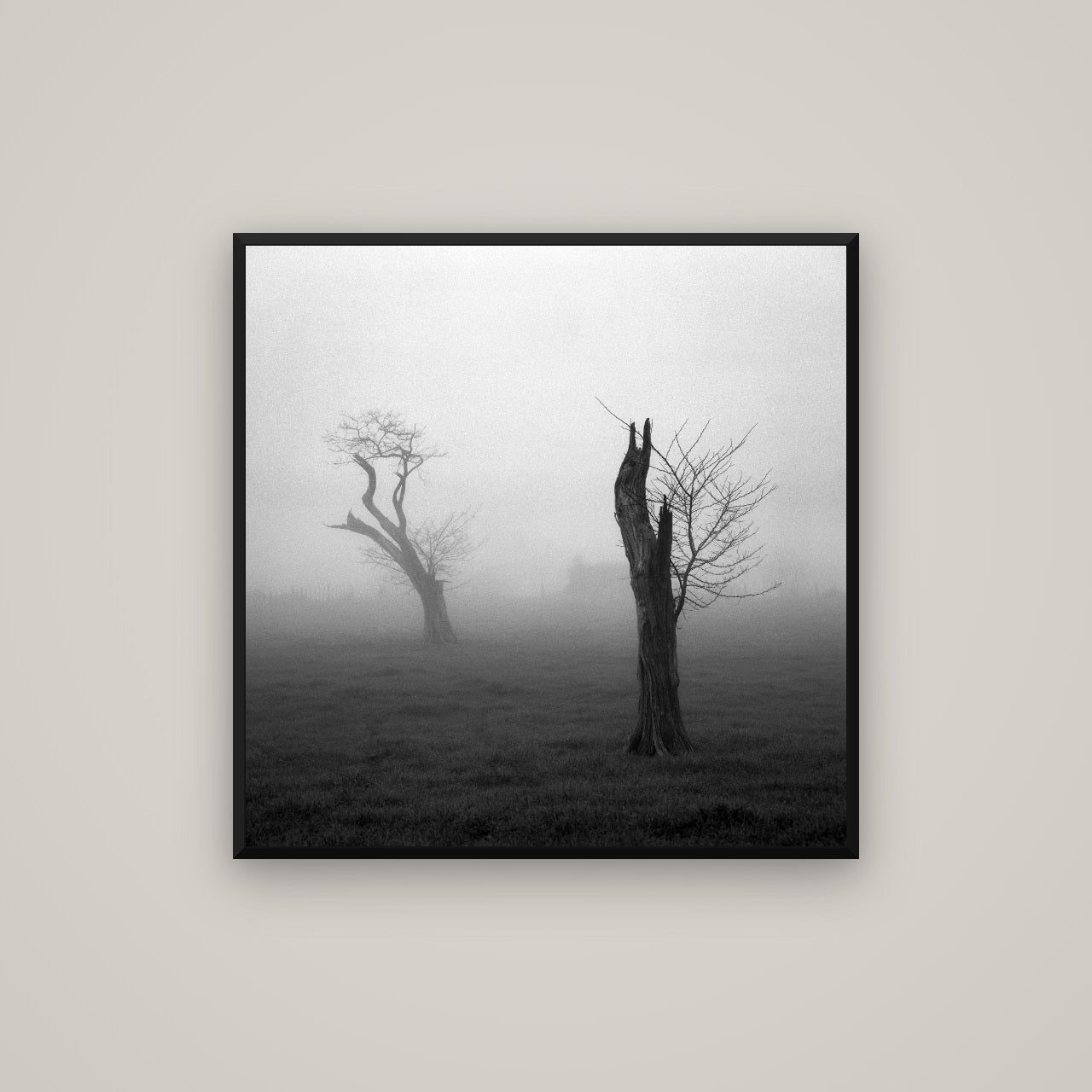 Opposites in the Mist, Waikato — Basel Black, 80×80 cm. New Zealand fine art wall art by Stephen Milner.