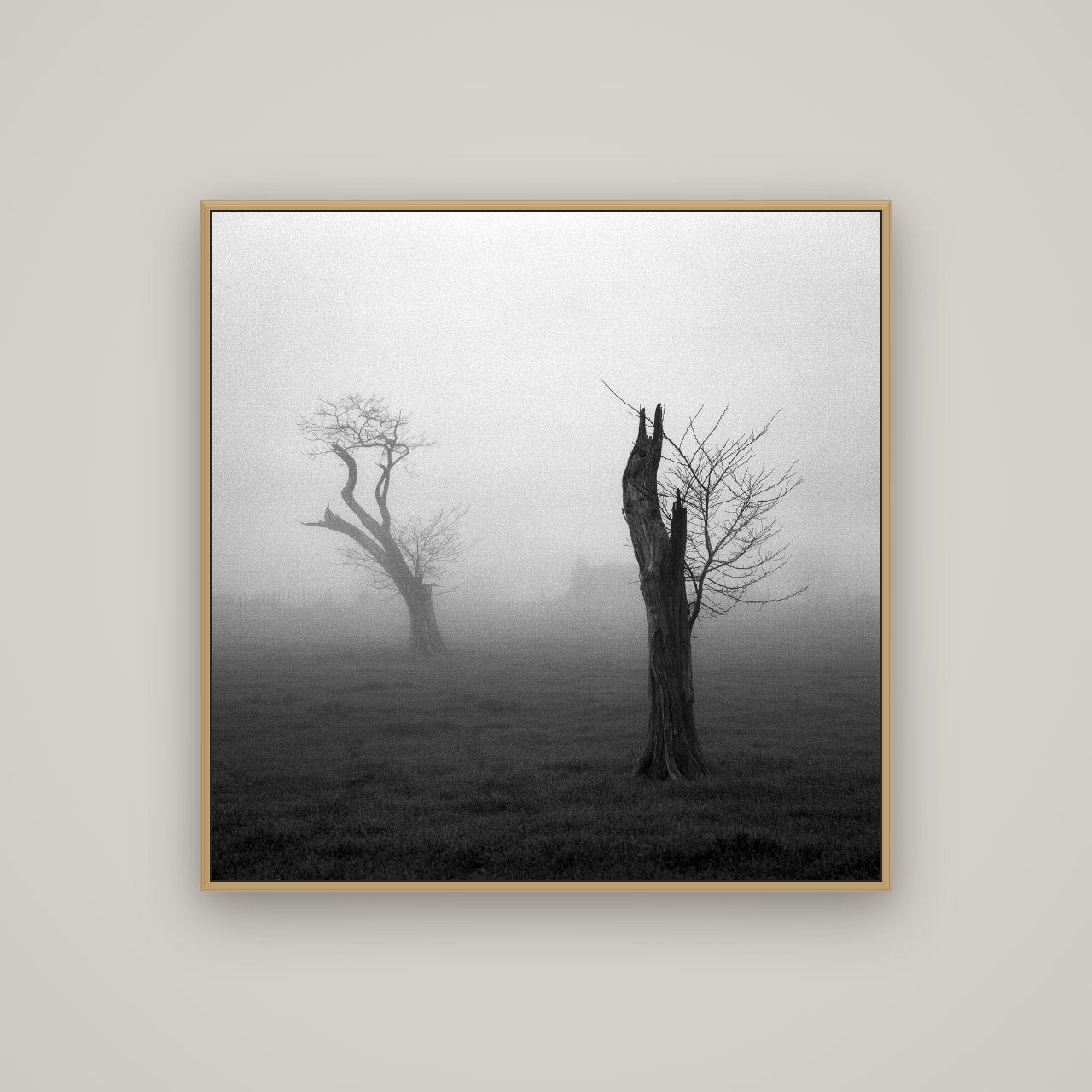 Opposites in the Mist, Waikato, Basel Natural Oak, 100×100 cm. New Zealand fine art wall art by Stephen Milner.