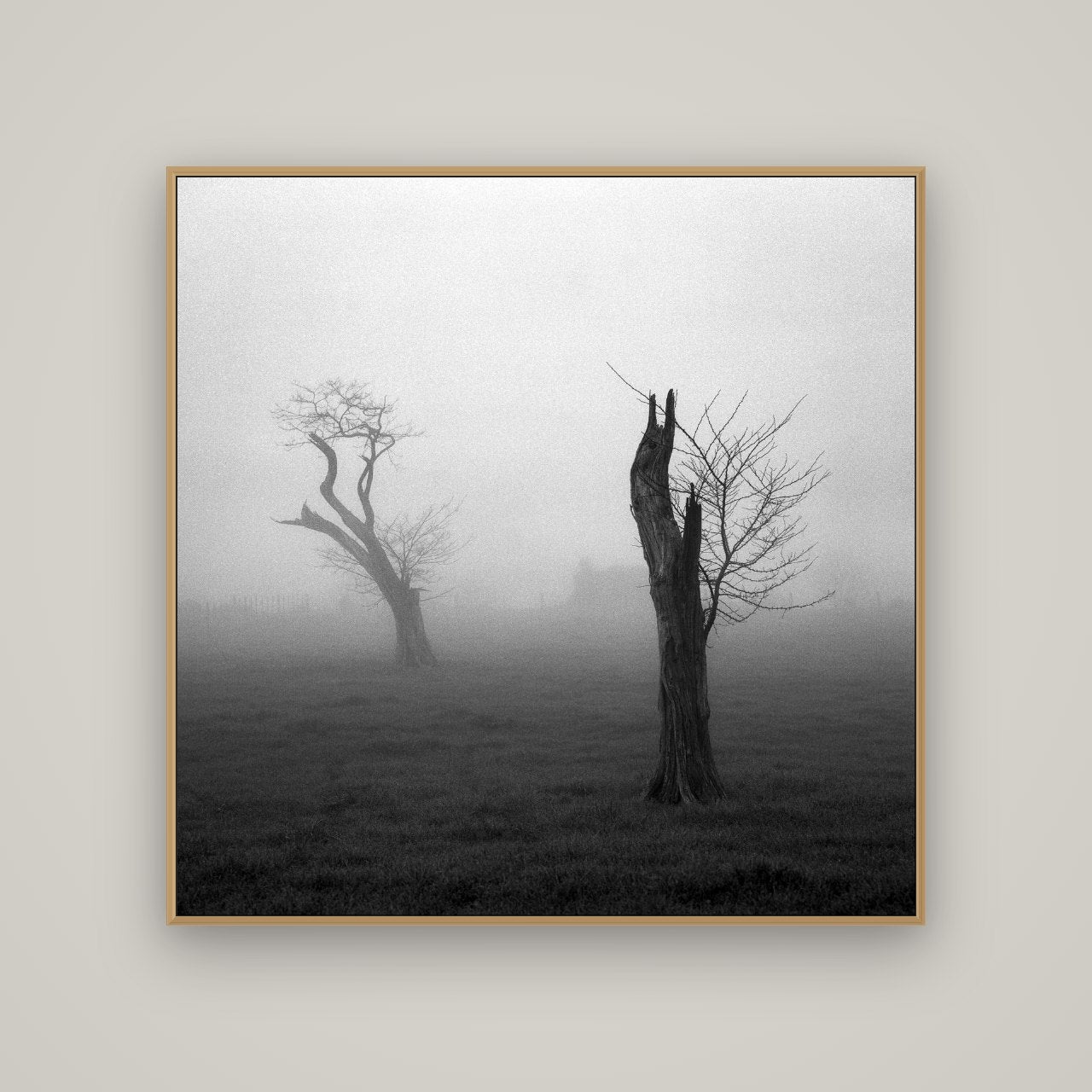 Opposites in the Mist, Waikato, Basel Natural Oak, 120×120 cm. New Zealand fine art wall art by Stephen Milner.