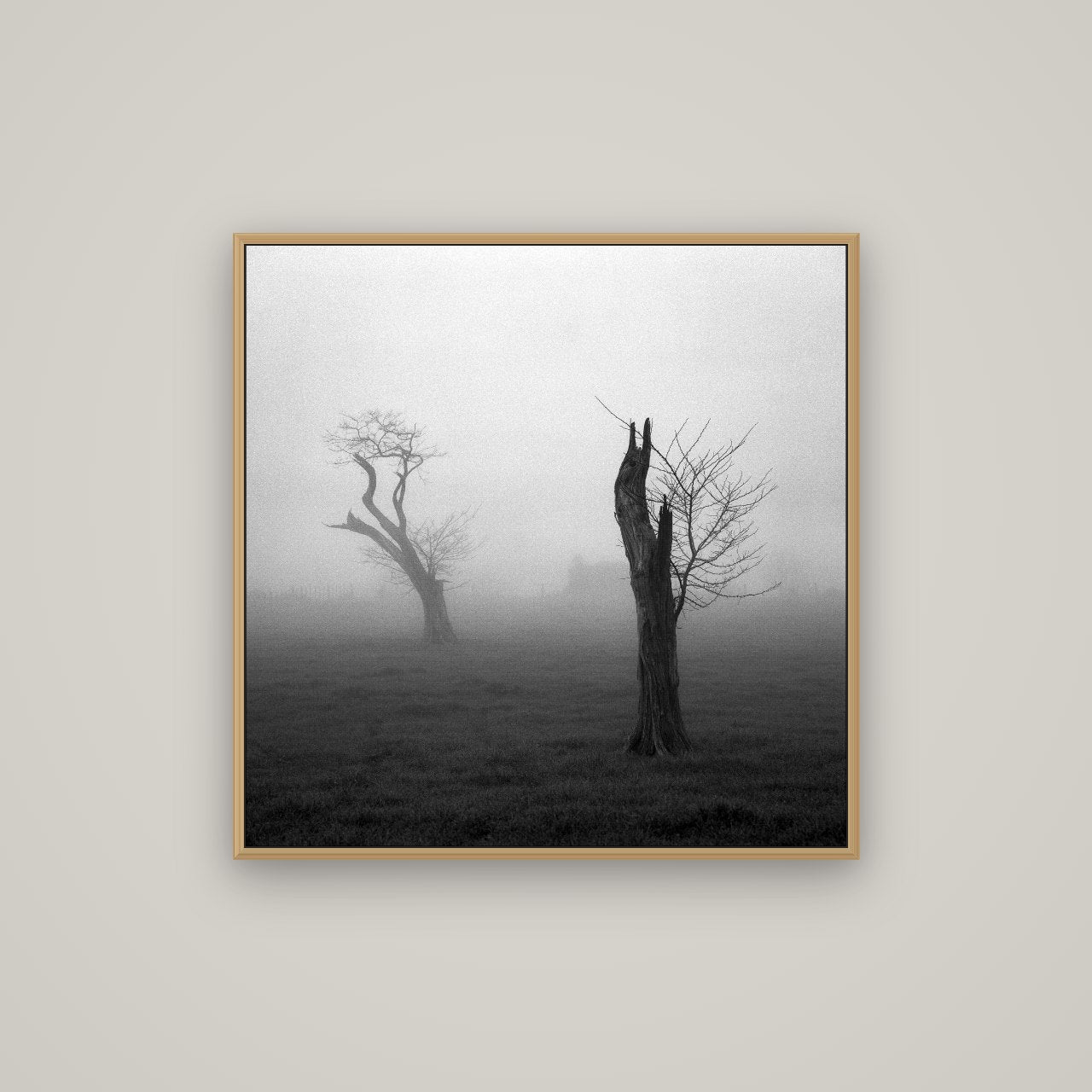 Opposites in the Mist, Waikato, Basel Natural Oak, 80×80 cm. New Zealand fine art wall art by Stephen Milner.