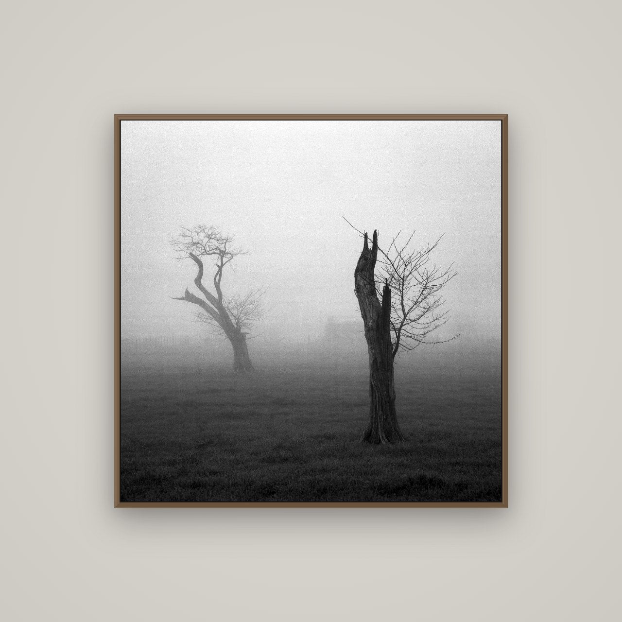 Opposites in the Mist, Waikato, Basel Walnut, 100×100 cm. New Zealand fine art wall art by Stephen Milner.