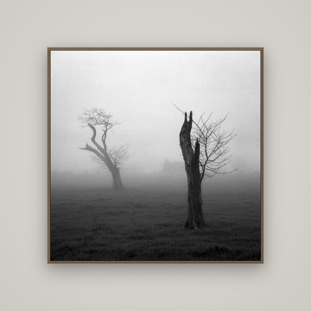 Opposites in the Mist, Waikato, Basel Walnut, 120×120 cm. New Zealand fine art wall art by Stephen Milner.