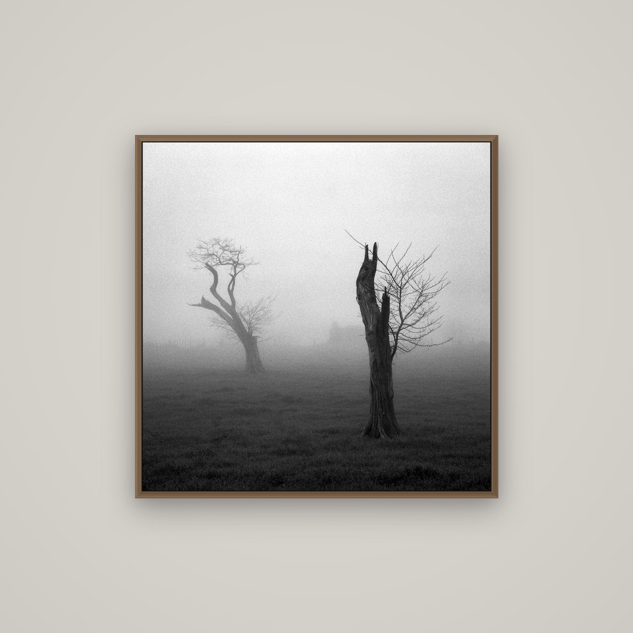 Opposites in the Mist, Waikato, Basel Walnut, 80×80 cm. New Zealand fine art wall art by Stephen Milner.