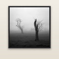 Opposites in the Mist, Waikato — black float frame canvas, 133 × 133 cm. New Zealand fine art landscape wall art by Stephen Milner.