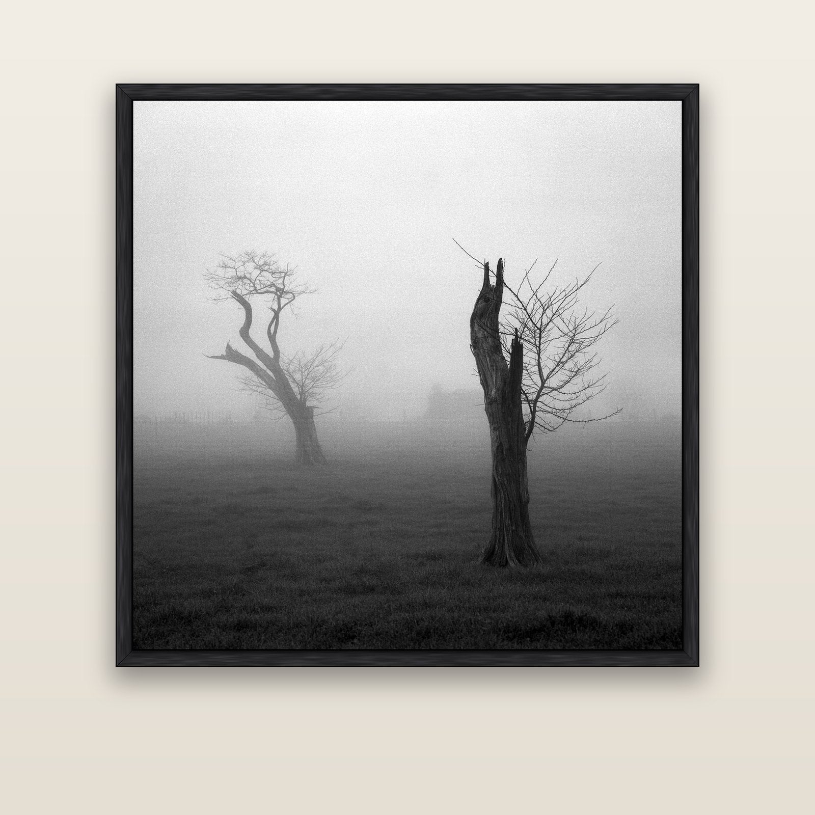 Opposites in the Mist, Waikato — black float frame canvas, 133 × 133 cm. New Zealand fine art landscape wall art by Stephen Milner.