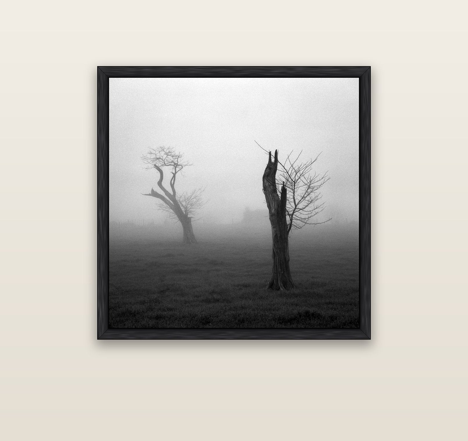 Opposites in the Mist, Waikato — black float frame canvas, 91 × 91 cm. New Zealand fine art landscape wall art by Stephen Milner.