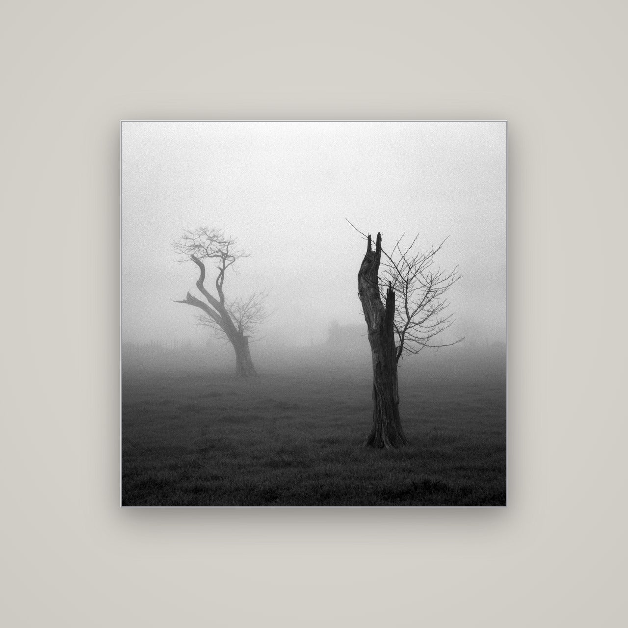 Opposites in the Mist, Waikato — Slimline Silver, 100×100 cm. New Zealand fine art wall art by Stephen Milner.