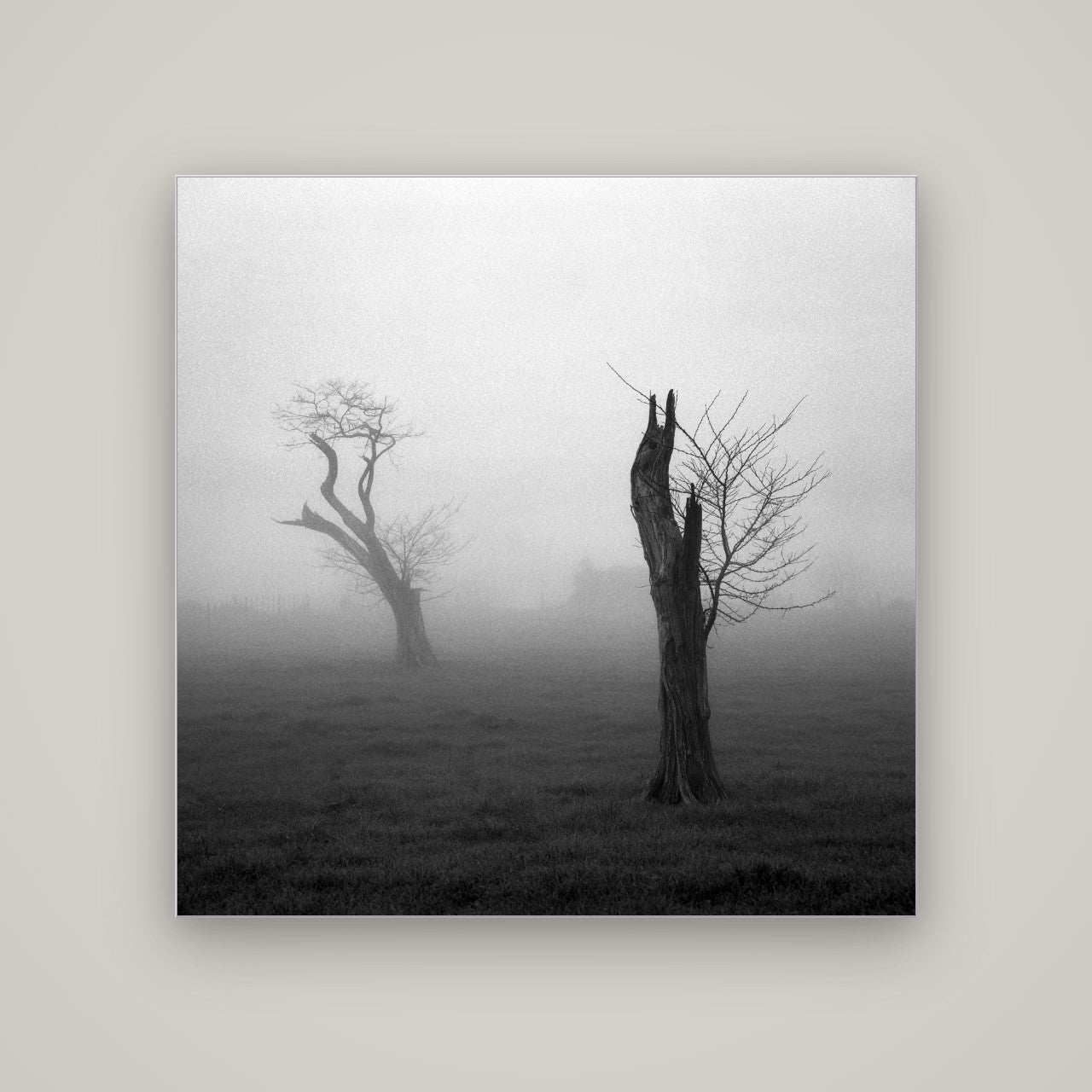 Opposites in the Mist, Waikato — Slimline Silver, 120×120 cm. New Zealand fine art wall art by Stephen Milner.