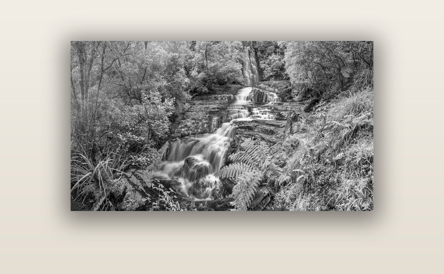 Radiance of Nature, McLean Falls — acrylic glass print, 122 × 61 cm. New Zealand fine art landscape wall art by Stephen Milner.