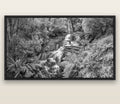 Radiance of Nature, McLean Falls — black float frame canvas, 200 × 130 cm. New Zealand fine art landscape wall art by Stephen Milner.