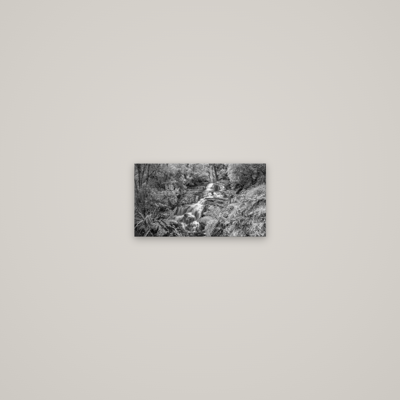Radiance of Nature, McLean Falls — No frame, 27×15 cm. New Zealand fine art wall art by Stephen Milner.