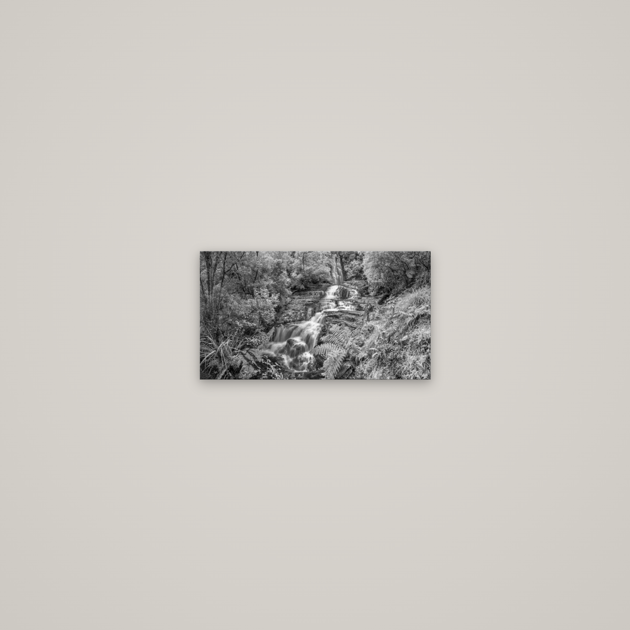 Radiance of Nature, McLean Falls — No frame, 36×20 cm. New Zealand fine art wall art by Stephen Milner.
