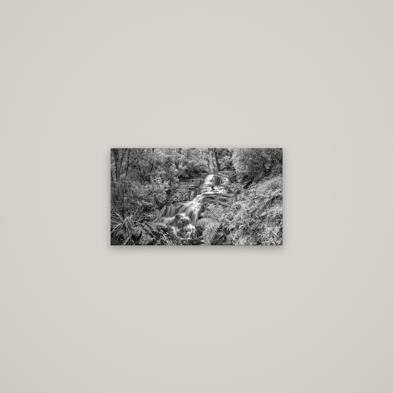 Radiance of Nature, McLean Falls — No frame, 53×30 cm. New Zealand fine art wall art by Stephen Milner.