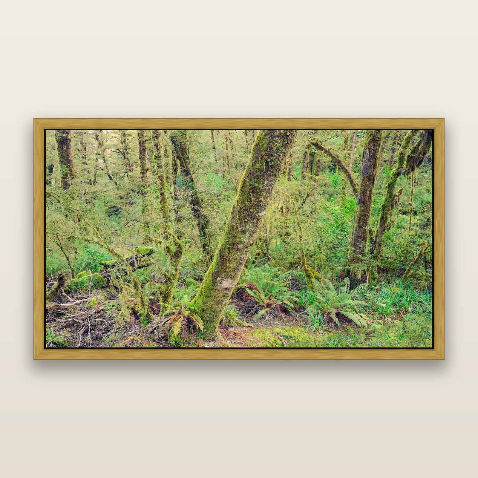 Rainforest Retreat, Haast pass — framed metallic canvas print, Antique Gold frame. New Zealand fine art landscape wall art by Stephen Milner.