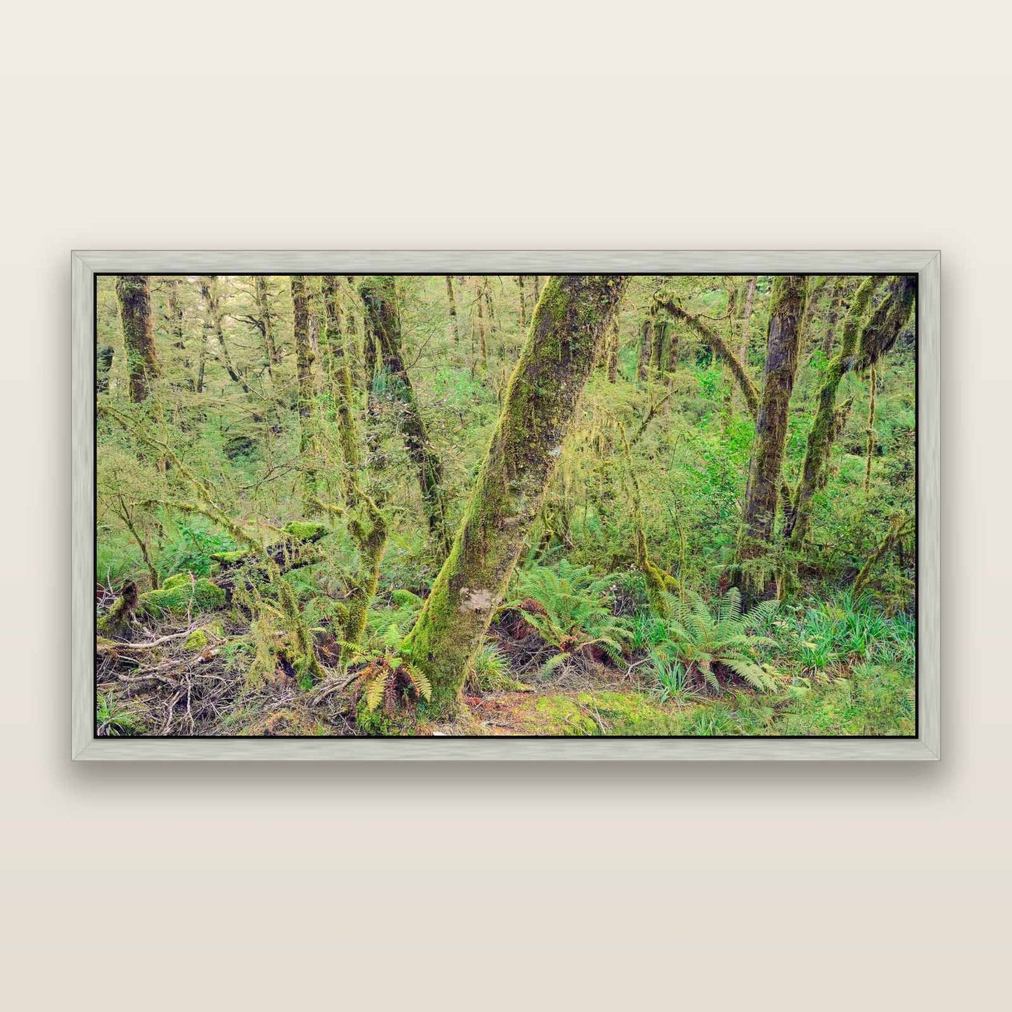 Rainforest Retreat, Haast pass — framed metallic canvas print, Antique Silver frame. New Zealand fine art landscape wall art by Stephen Milner.