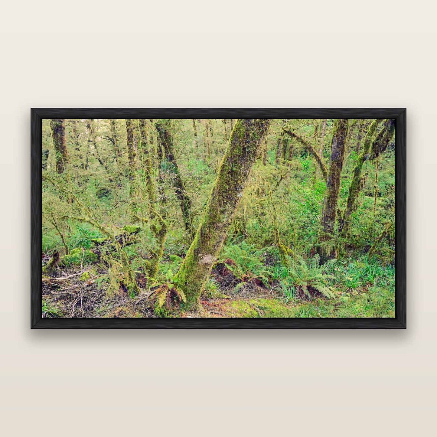 Rainforest Retreat, Haast pass — framed metallic canvas print, Black frame. New Zealand fine art landscape wall art by Stephen Milner.