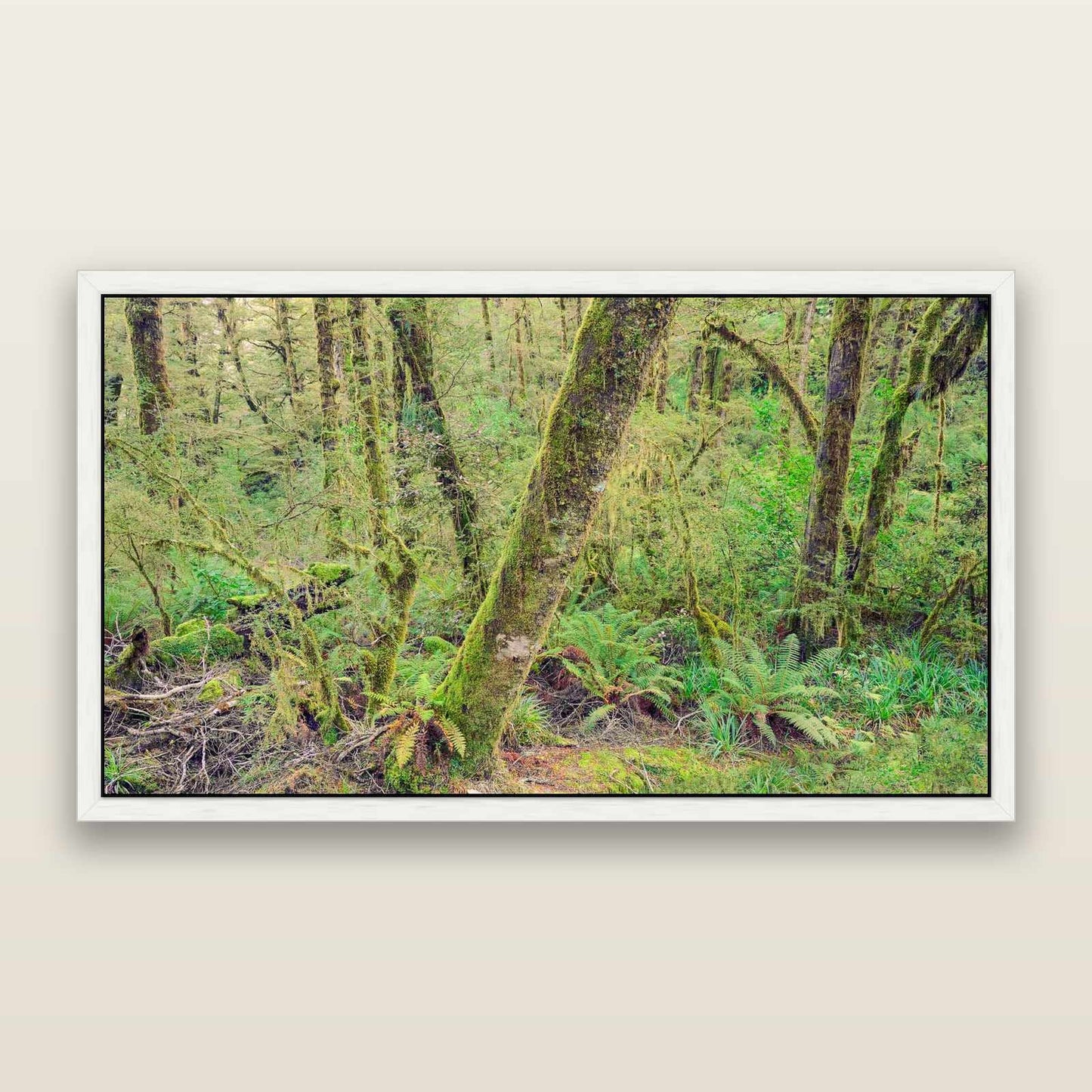 Rainforest Retreat, Haast pass — framed metallic canvas print, White frame. New Zealand fine art landscape wall art by Stephen Milner.