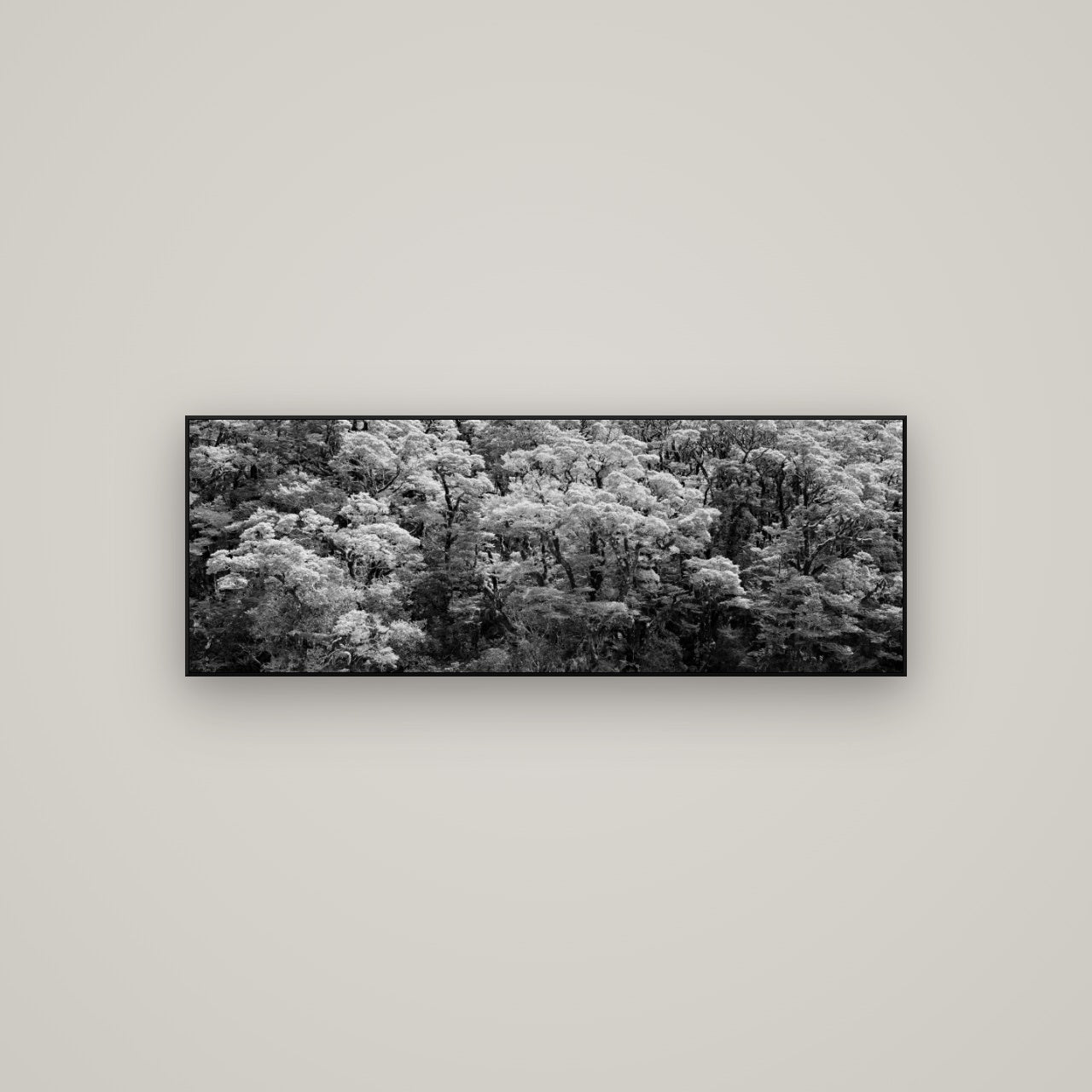 Rainforest Reverie, Fiordland — ArtBox Black, 113×40 cm. New Zealand fine art wall art by Stephen Milner.