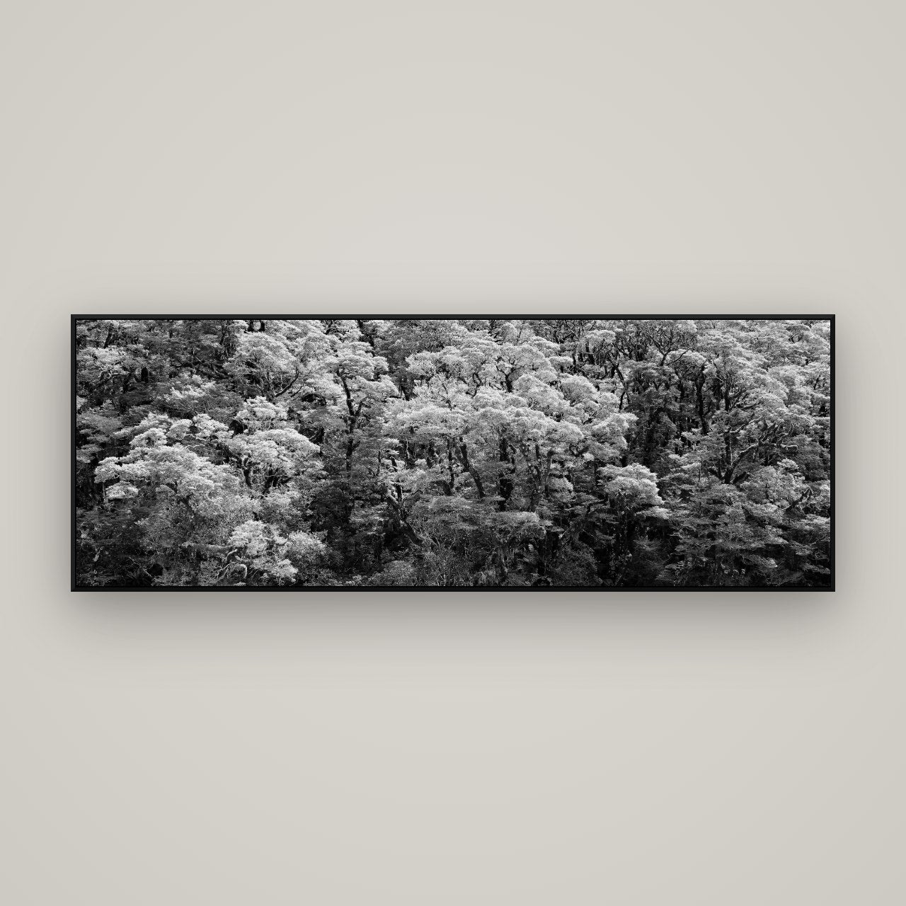 Rainforest Reverie, Fiordland — ArtBox Black, 170×60 cm. New Zealand fine art wall art by Stephen Milner.