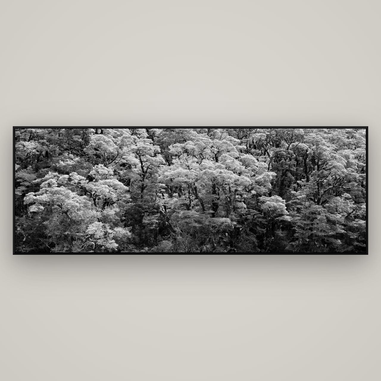 Rainforest Reverie, Fiordland — ArtBox Black, 198×70 cm. New Zealand fine art wall art by Stephen Milner.