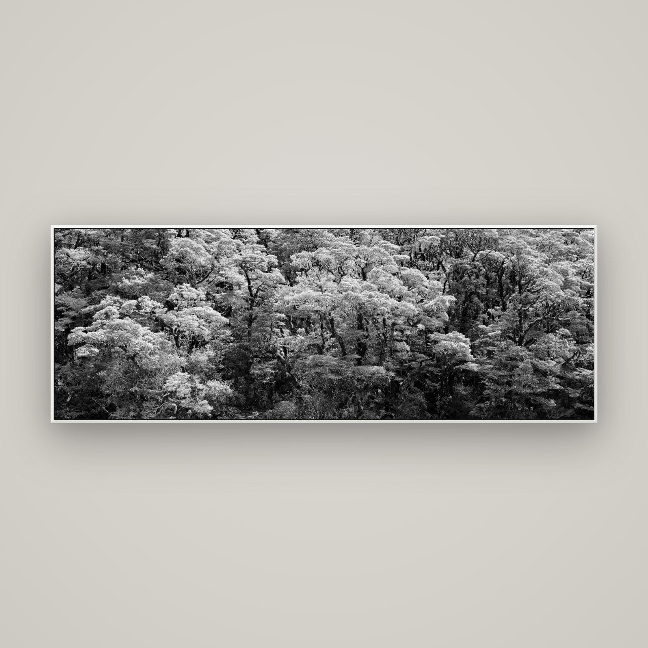 Rainforest Reverie, Fiordland — ArtBox White, 170×60 cm. New Zealand fine art wall art by Stephen Milner.