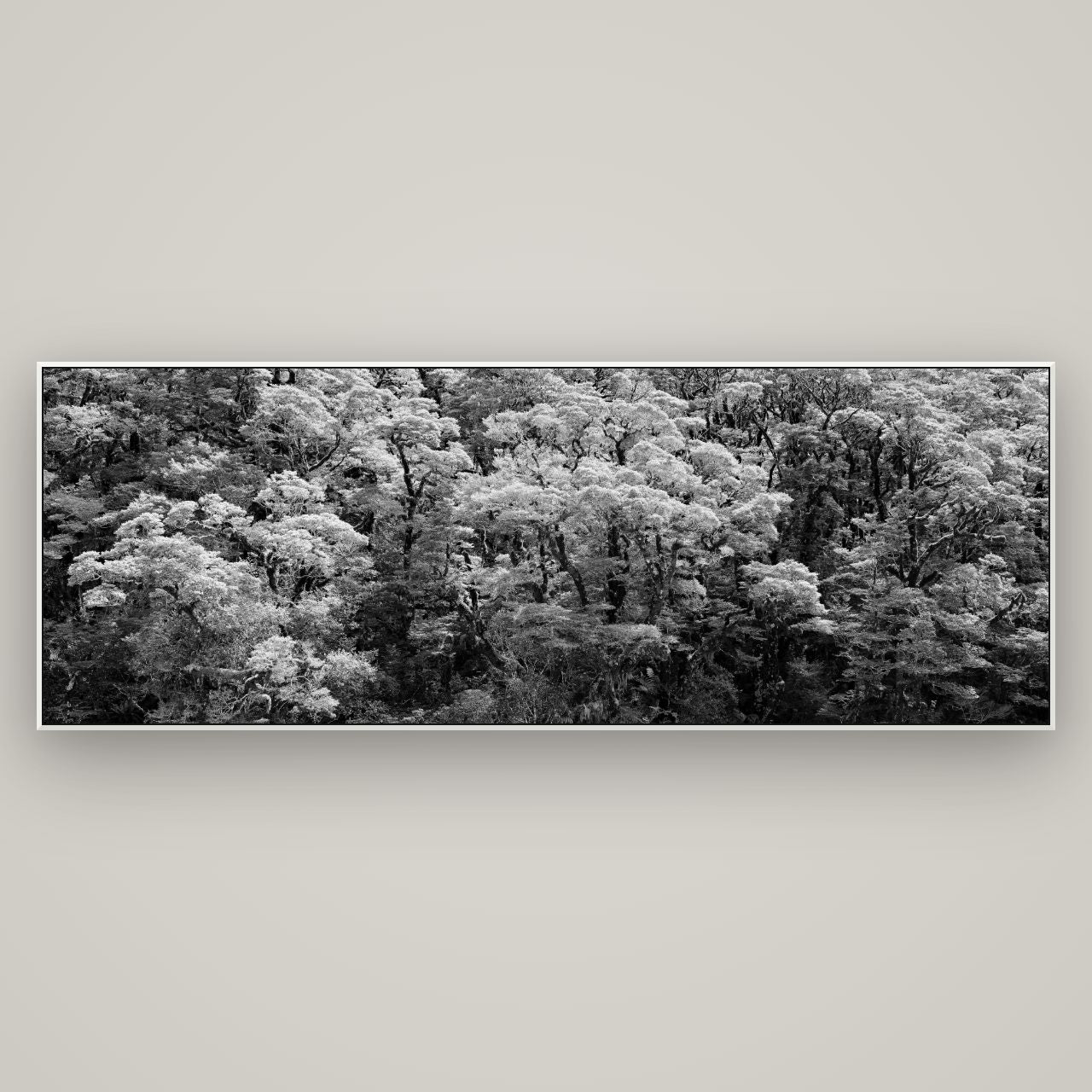Rainforest Reverie, Fiordland — ArtBox White, 198×70 cm. New Zealand fine art wall art by Stephen Milner.