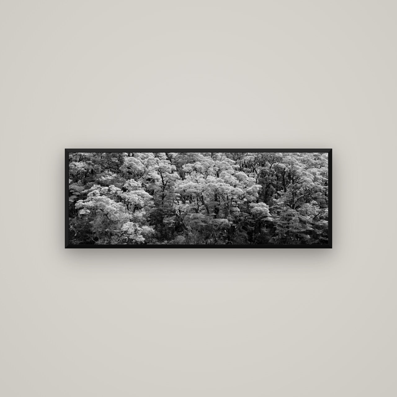 Rainforest Reverie, Fiordland — Basel Black, 113×40 cm. New Zealand fine art wall art by Stephen Milner.