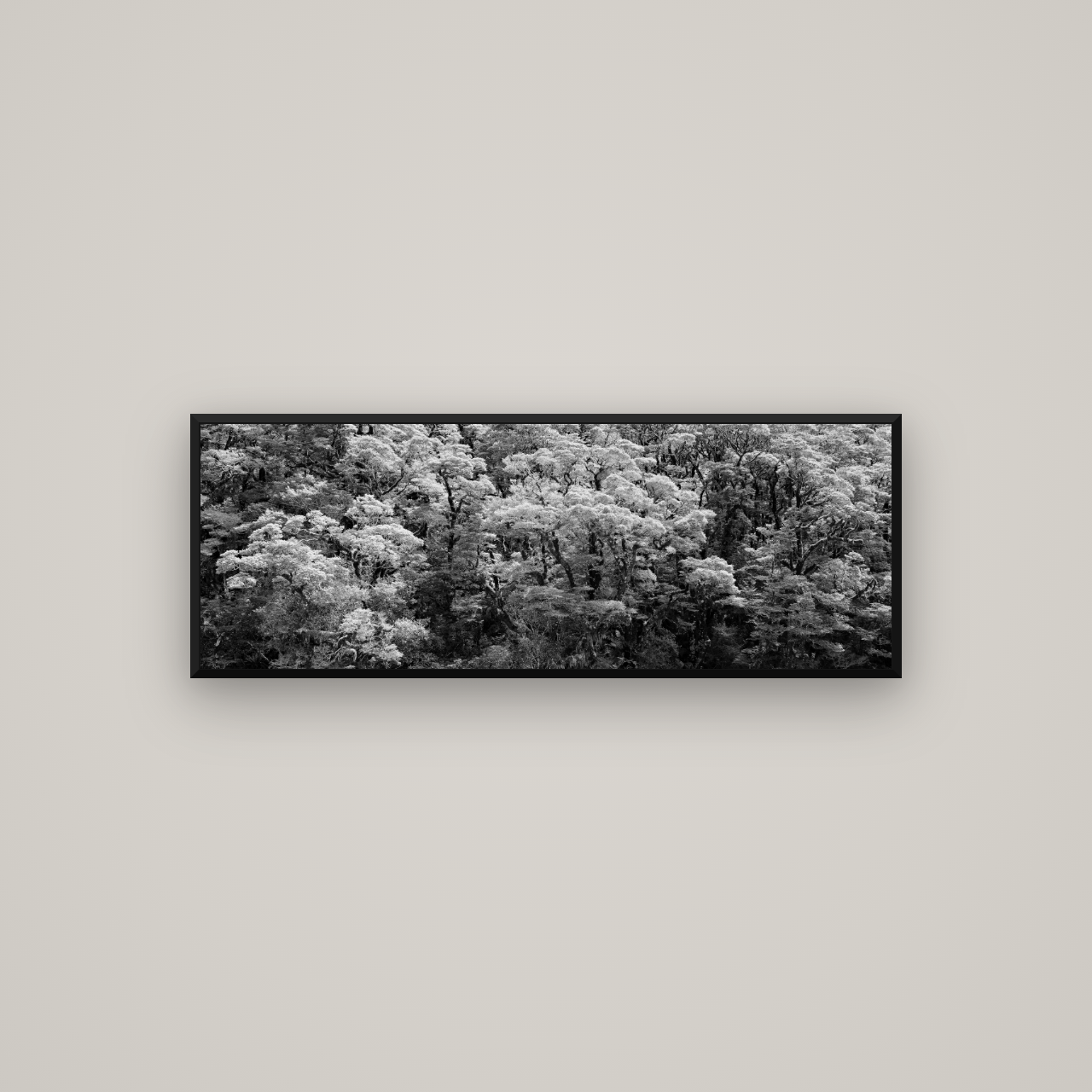 Rainforest Reverie, Fiordland — Basel Black Matte, 113×40 cm. New Zealand fine art wall art by Stephen Milner.