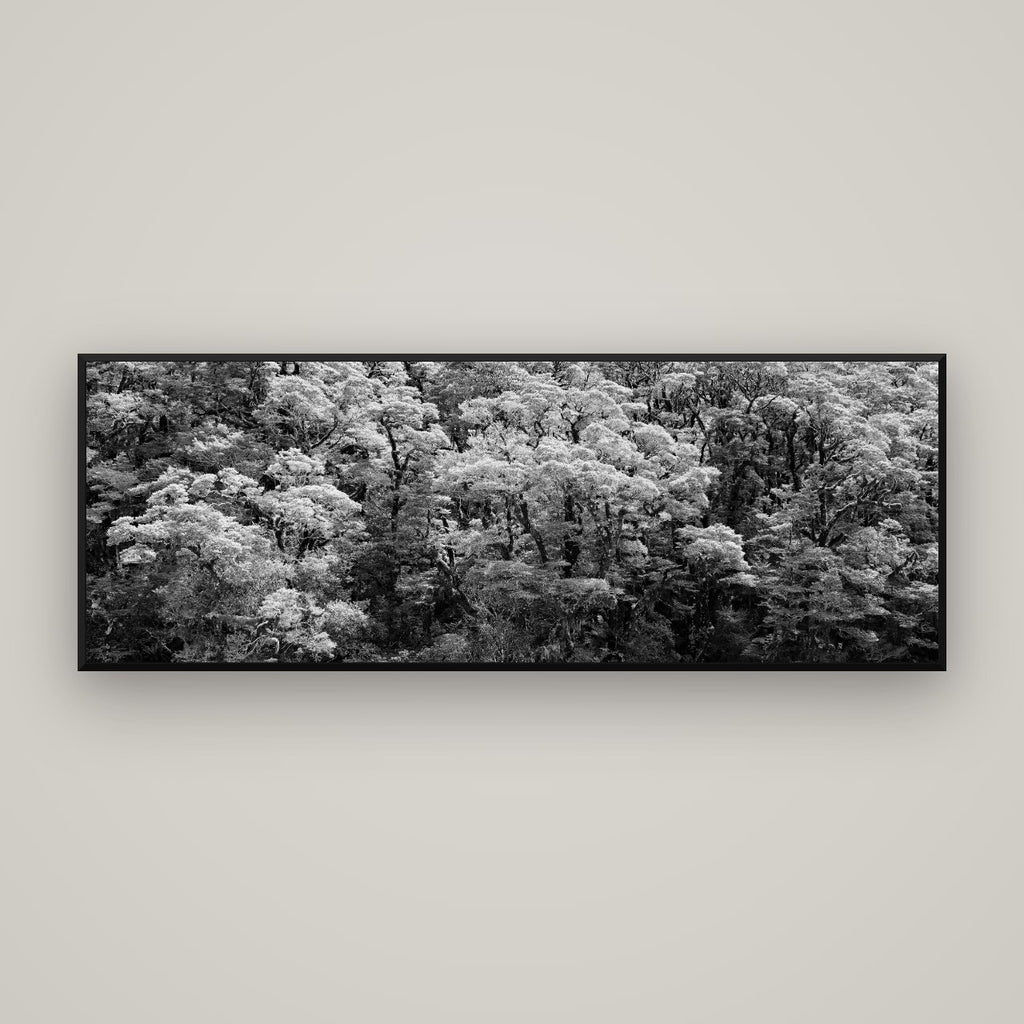 Rainforest Reverie, Fiordland — Basel Black Matte, 170×60 cm. New Zealand fine art wall art by Stephen Milner.