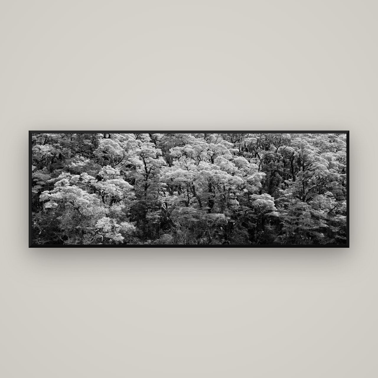 Rainforest Reverie, Fiordland — Basel Black, 170×60 cm. New Zealand fine art wall art by Stephen Milner.