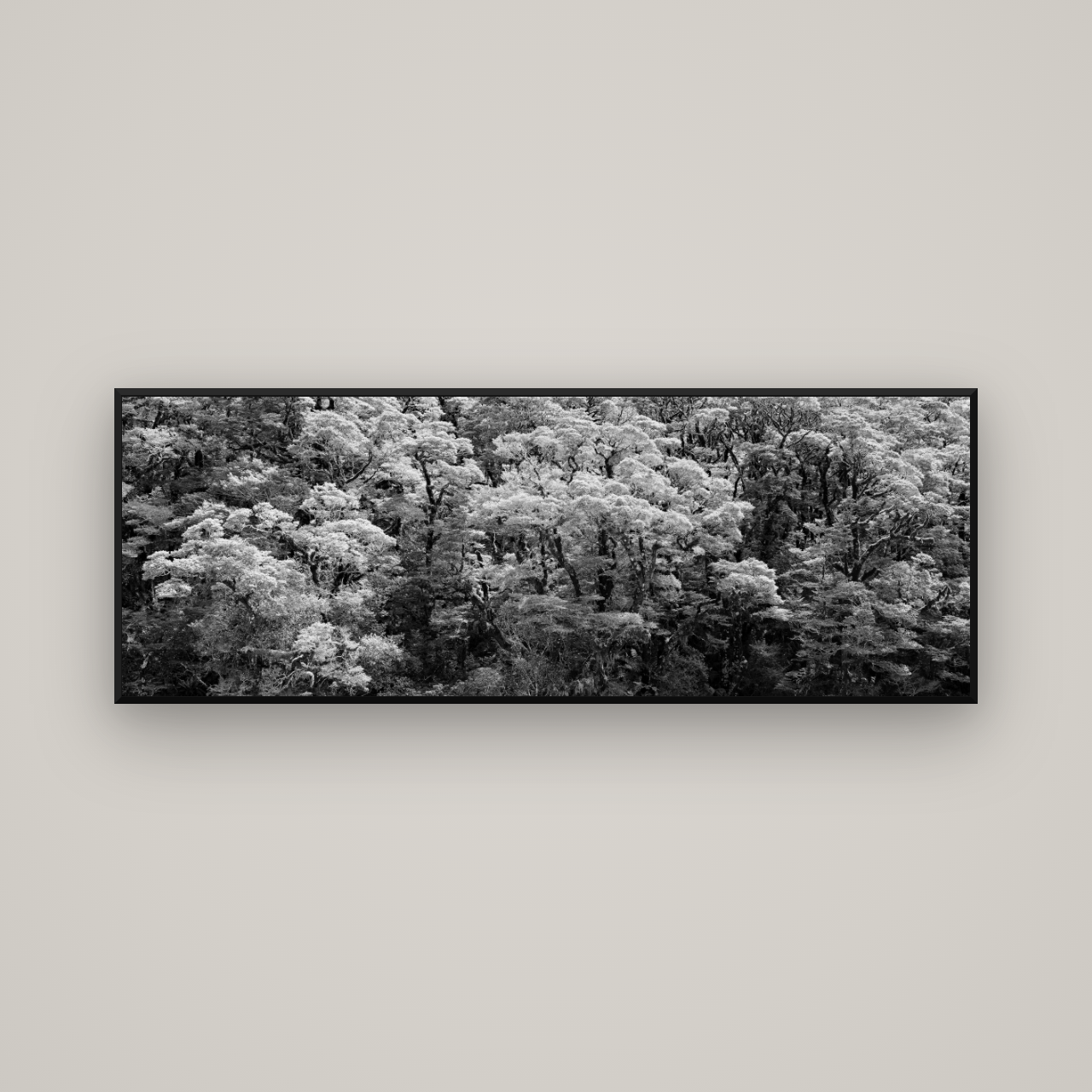 Rainforest Reverie, Fiordland — Basel Black Matte, 170×60 cm. New Zealand fine art wall art by Stephen Milner.