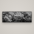 Rainforest Reverie, Fiordland — Basel Black Matte, 198×70 cm. New Zealand fine art wall art by Stephen Milner.