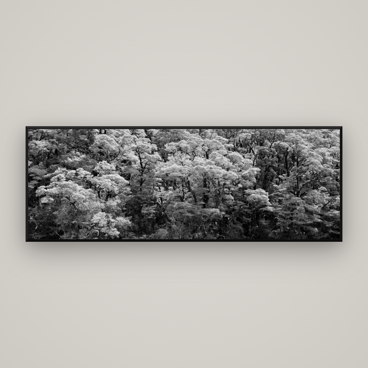 Rainforest Reverie, Fiordland — Basel Black Matte, 198×70 cm. New Zealand fine art wall art by Stephen Milner.